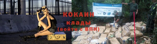 стаф Тутаев