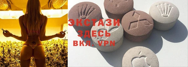 стаф Тутаев